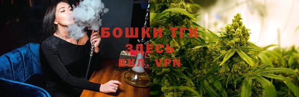 ECSTASY Каменка