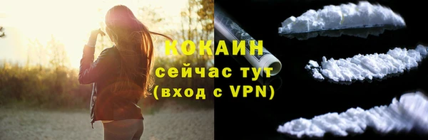ECSTASY Каменка