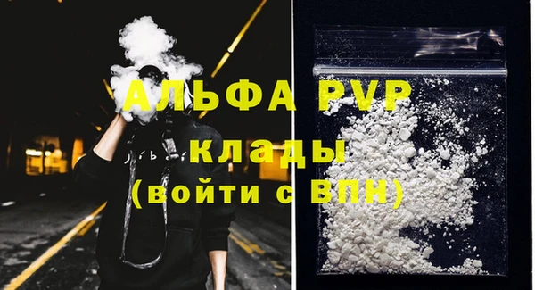 ECSTASY Каменка