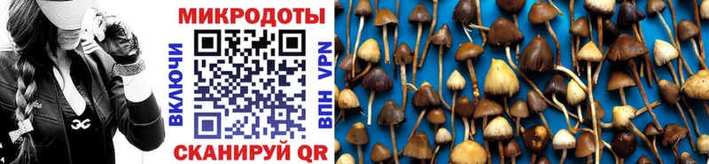Галлюциногенные грибы MAGIC MUSHROOMS  Купить закладки  Жиздра 